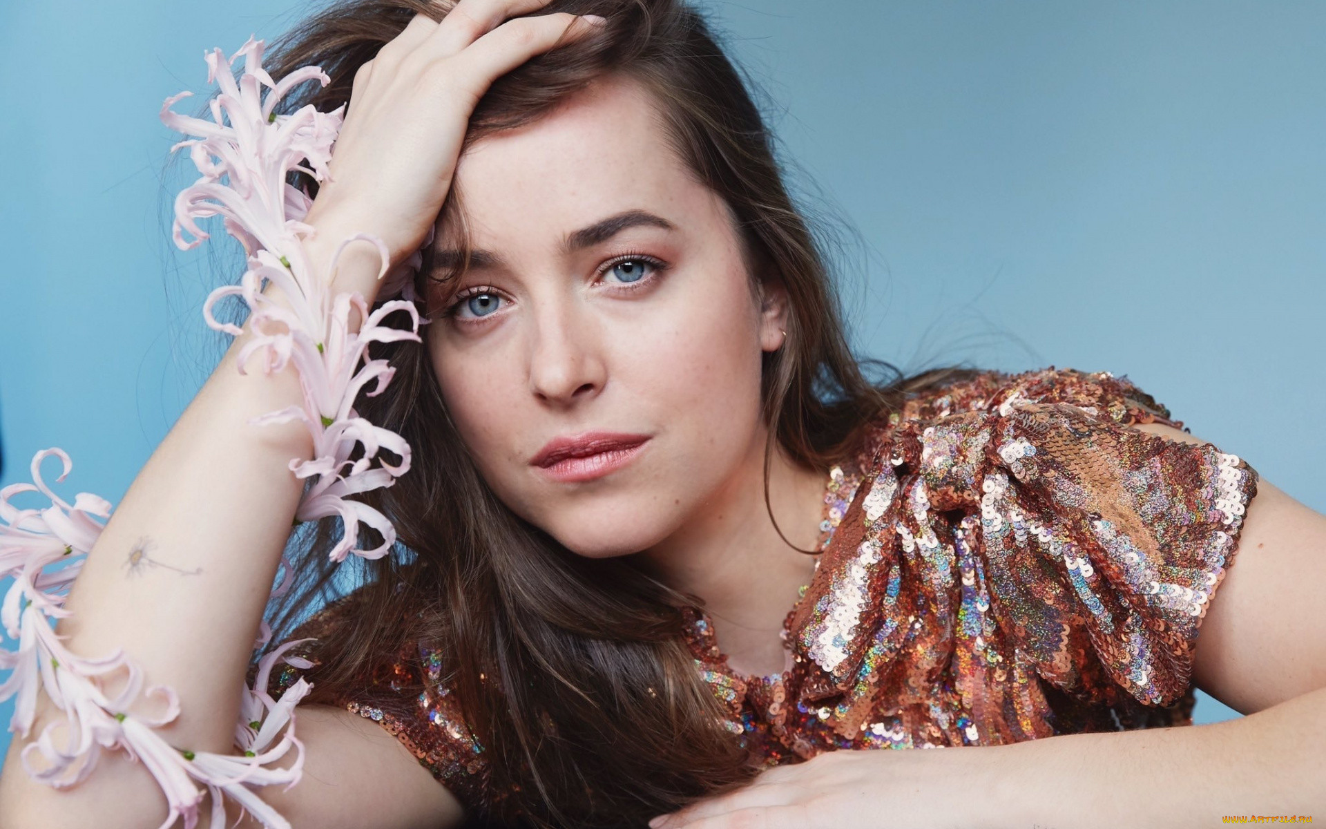 , dakota johnson, 